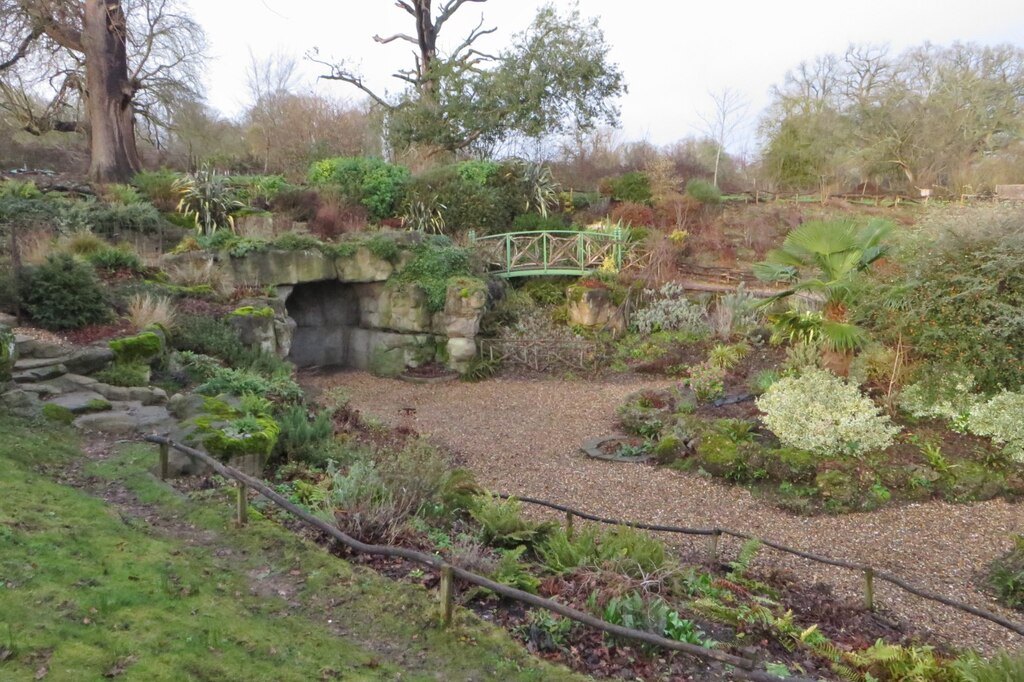Ferns and rockwork in the Victorian fernery in Danesbury Park